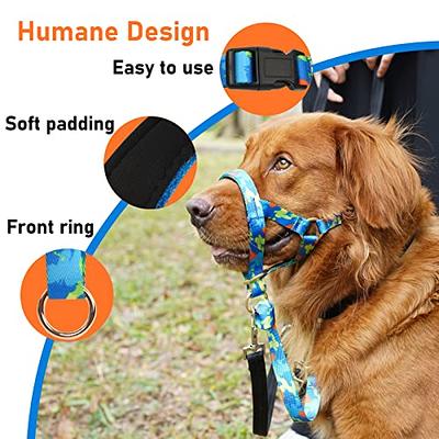  Bingo's Dog Head Collar Back Clip No Pull Halter for Large  Dogs, Nose Lead to Control Pulling, Simple to Use Training Muzzle Leash,  Adjustable Head Harness for Long Snout. L