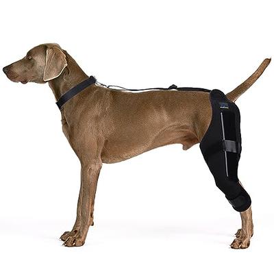 Dog Knee Brace For Torn Acl Hind Leg Large Small Back Legs Arthritis Pet  Injury