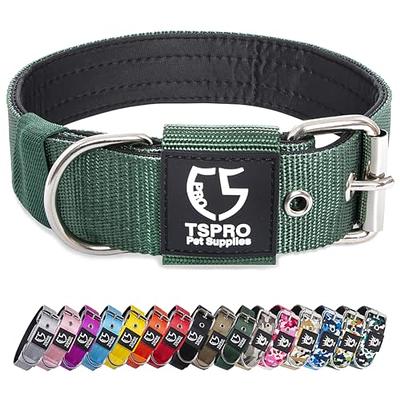 Basic Dog Adjustable Collar With Color Matching Buckle - Boots & Barkley™ :  Target