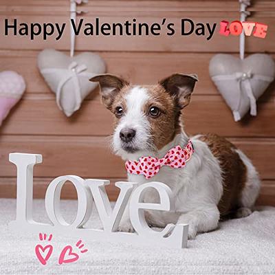 ARING PET Valentine's Day Dog Collar-Adorable Pink Heart Girl Dog Collar,  Adjustable Bowtie Dog Collar Pet Collars with Metal Buckle - Yahoo Shopping