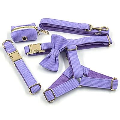 PETDURO Cute Custom Dog Collar Engraved with Leash & Bow Tie for Girl