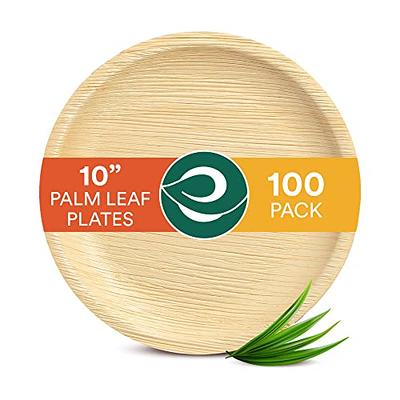 ECO SOUL 100% Compostable 9 Inch Paper Plates 100-Pack Disposable