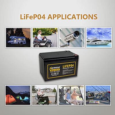 12V 12Ah LiFePO4 Battery, RoyPow 12V 12Ah LiFePO4 Lithium Battery with  low-temperature cut-off, 3500~8000 Cycles 12V LiFePO4 Battery for Kid  Scooters