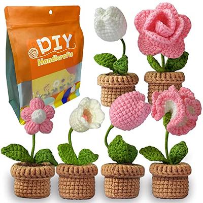 AYQNMHR Crochet Kits for Beginners - All-in-One Learn to Crochet 6  Different Flowers Sets - Crochet Kit for Beginners with Step-by-Step Video  Tutorials, DIY Home Decoration Idea Gift (Purple) - Yahoo Shopping
