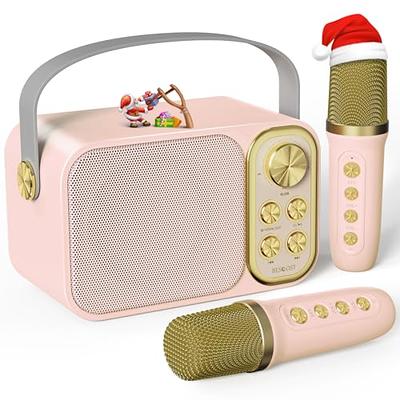 That Girl Lay Lay Bluetooth Karaoke Machine for Kids – eKids