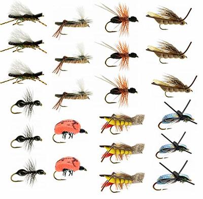 Outdoor Planet Premium Fly Fishing Flies Kit Fly Assortment Trout Bass  Fishing | Dry Flies, Wet Flies, Nymphs, Hopper, Caddis, Worm | Trout, Bass