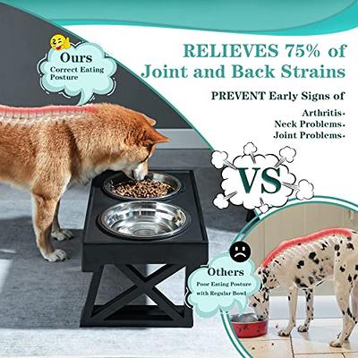 AVERYDAY Small Elevated Dog Bowls Stand - Adjustable Raised Pet Food Feeder  Station for Small/Medium Sized Dogs - Anti-Slip 4 Height Stand with 2