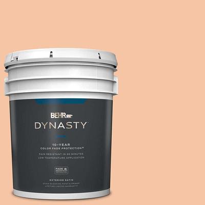 BEHR DYNASTY 5 gal. #S130-5 Heirloom Rose Satin Enamel Exterior  Stain-Blocking Paint & Primer - Yahoo Shopping