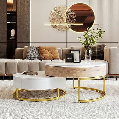 Modern Lift Top Coffee Table with Hidden Compartment Storage