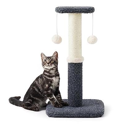  HappyFreeSX Splicing Cat Scratch Pad: Cat Scratchers for  Indoor Cats, Cat Scratcher Cardboard, Cat Scratching Pad, Cat Scratching  Post for Indoor Cats, Premium Scratch from Cats, Double-Sided Design : Pet