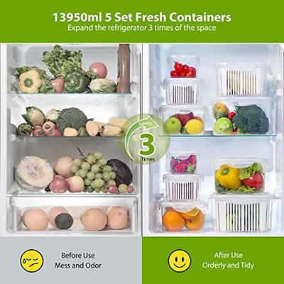 LUXEAR 4 Pack Fruit Containers for Fridge, Vegetable Storage Container with  Lids &Removable Colander Produce Saver Organizer for Refrigerator Keep