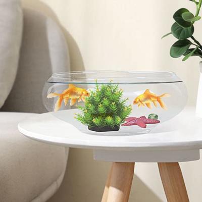 Large Glass Bubble Fish Bowl Terrarium Vase