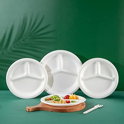 3 Compartment Biodegradable Plates With Lid, Sugarcane disposable Plates