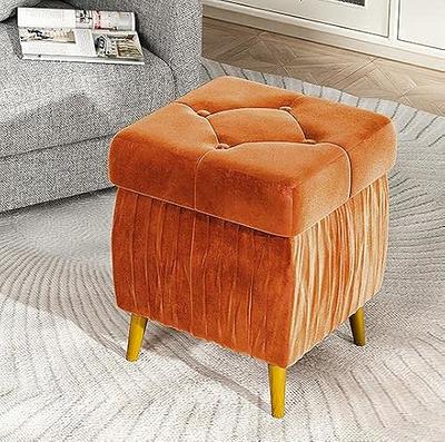 Cpintltr Foot Stool Velvet Storage Ottoman with Removable Lid