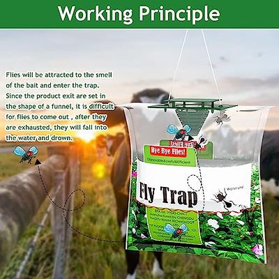 Trappify Hanging Fly Trap - Fly Traps for Indoors and Outdoor - Fly Paper  and Fly Strips - 2 Pk 