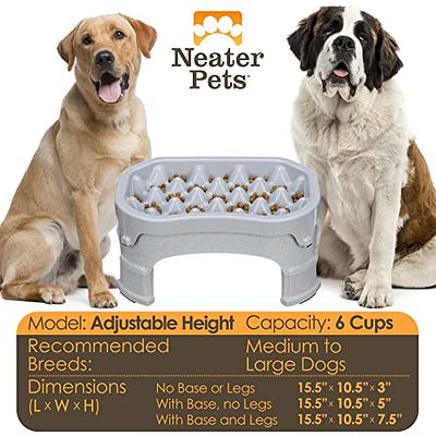 Dazone Elevated Dog & Cat Feeder - Double Bowl Raised Stand +