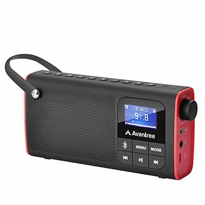 Mini Portable Radio AM FM Pocket Radio with MP3, LED Flashlight, Digital  Radio Speaker Support Micro SD/TF Card/USB, Auto Scan Save, 1200mAh