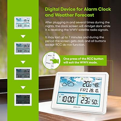 BALDR WiFi Weather Station Wireless Indoor Outdoor Thermometer