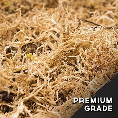  Pextian 10.5 oz Natural Sphagnum Moss, Dried Forest