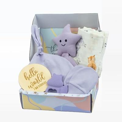 Austin Baby Collection Silicone Bento Box Camper Violet