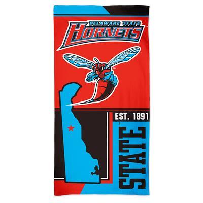 WinCraft Delaware State Hornets 60'' x 30'' Spectra Beach Towel - Yahoo  Shopping