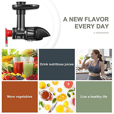 Masticating Juicer Attachment for KitchenAid All Models Stand Mixers, Cold  Press Juicer Attachment for KitchenAid, Slow Juicer Attachment, Black(Mixer