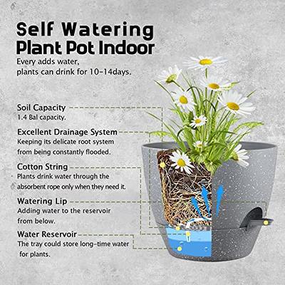 6 inch Plant Pots Set of 6, Plastic Planter with Drain Holes and Removable Base, Black Flower Pot with Watering Lip for Indoor Outdoor House Plants