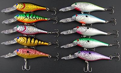 Alwonder Topwater Fishing Lures Kit for Saltwater and Freshwater, Bass  Fishing Lures Treble Hooks Hard Baits, Walk-The-Dog Lure Set for Pike,  Striper