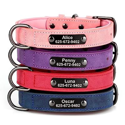 dog collar with name