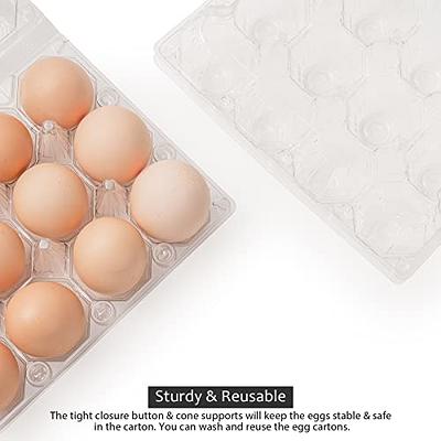  FVIEXE 100PCS Egg Cartons Cheap Bulk, Clear Egg Carton for Half  Dozen Chicken Eggs (6 Eggs), Plastic Egg Carton Bulk Egg Storage Containers  Holder Egg Tray for Family Pasture Farm Market