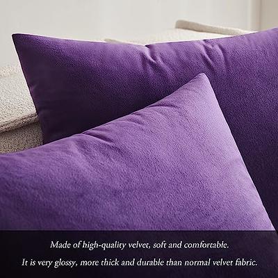 Outdoor Decorative Plush Velvet Throw Pillow Covers Sofa Accent Couch Pillows (Set of 2), Purple