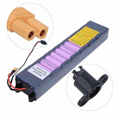 Miady 2000 Cycles 12V 6Ah Lithium Iron Phosphate Battery, Rechargeable  LiFePo4 Battery, Low Self-Discharge and Light Weight, for Kid Scooters,  Fios