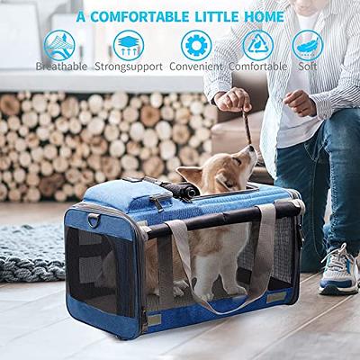 Pnimaund Cat Carrier Large Pet Carrier Soft Dog Carrier with Lockable  Zippers [2023New] Cat Carriers for Medium Large Cats Under 25 Lbs  Collapsible Pet Travel Carrier-Blue 