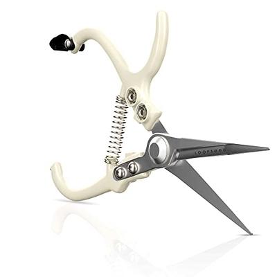 1pc Bypass Pruning Shears Hand Pruner Garden Clipper Snip Trim Lawn Plant  Shrubs Sharp Stainless Blade Scissors For Garden Fruit Tree Pruning