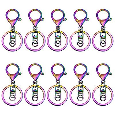 Colorful Keyring Household Iron Lobster Claw Clasp Key Holders with Flat  Split Ring Round Keychain Loop for Jewelry DIY Crafts Lanyard Clips Snap  Hook