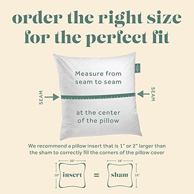 Phantoscope 18 x 18 Outdoor Pillow Inserts - Pack of 4 Square Form Water  Resistant Decorative Throw Pillows, Made in USA 