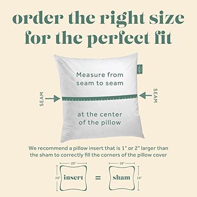 Oubonun 18 x 18 Pillow Inserts (Set of 2) - Throw Pillow Inserts with 100%