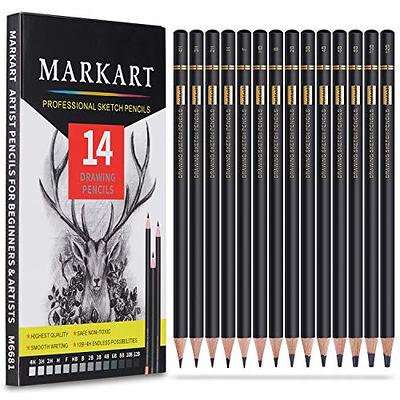 Professional Drawing Sketching Art Pencils Set - 12 Graphite Drawing  Pencils for Sketch Art and Shading 8B, 6B, 4B, 3B, 2B, B, HB, F, H, 2H, 4H,  6H