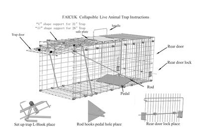 Heavy Duty Live Trap, Large 1-Door Live Animal Traps for Squirrels,  Rabbits, Kittens, Metal Cat Trap for Stray Cats Humane Foldable Animal Trap  for