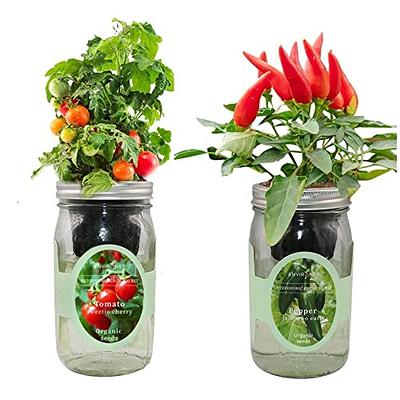 Environet 2-Pack Hydroponic Mason Jar Herb Garden Kit, Indoor Herb Garden  Self-Watering Starter Kit (Cherry Tomato,Pepper) - Yahoo Shopping