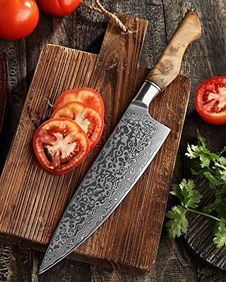 Home Hero 2 Pcs Japanese Santoku Knife with Sheath - VG10 Damascus Steel  Knife - 67 Layers Full Tang Elite Damascus Knife - Japanese Knife, Sushi