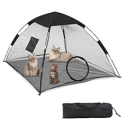 Cat Play Mat Tent with Interactive Hanging Toys – Petzo