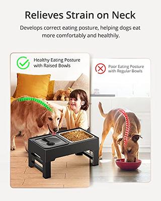 Petace Dog Bowls, Elevated Dog Bowls for Large Dogs, Raised Dog Bowl Stand  with No Spill