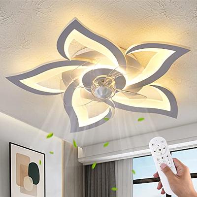 DAFOLOGIA Low Profile Ceiling Fans with Lights and Remote, Stylish