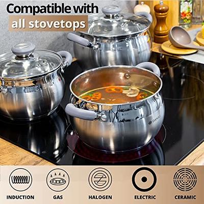 Alpine Cuisine 4 Quart Non-stick Stock Pot with Tempered Glass Lid and  Carrying Handles, Multi-Purpose Cookware Aluminum Dutch Oven for Braising