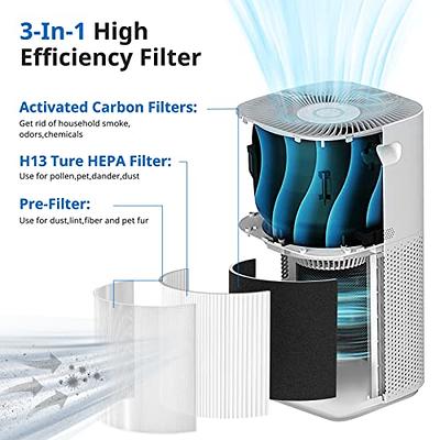 Core 300 Pet Care Replacement Filters 2 Pack Compatible with LEVOIT Core  300 and Core 300S, NXBHG H13 Grade True HEPA Filter High-Efficiency  Activated Carbon, Compare to Part # Core 300-RF - Yahoo Shopping