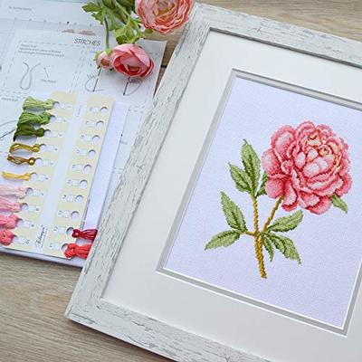 Embroidery Kit Beginner Easy, Embroidery Plants, DIY Kits for Adults, Plant  Mom Gift, Hand Embroidery Design, Creative Gifts for Women 