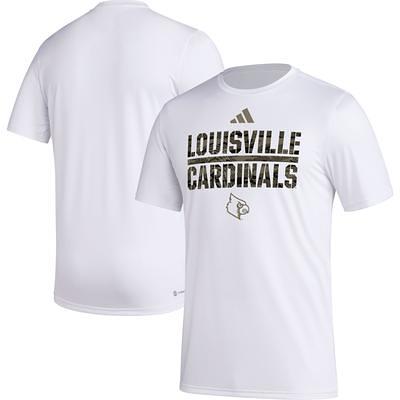 Men's Nike Black Arizona Cardinals Division Essential T-Shirt Size: Medium