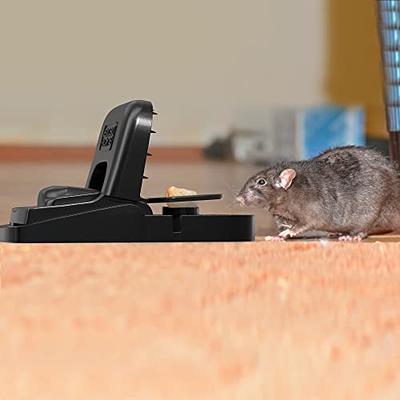  Catchmaster Rat & Mouse Glue Traps 6Pk, Large Bulk