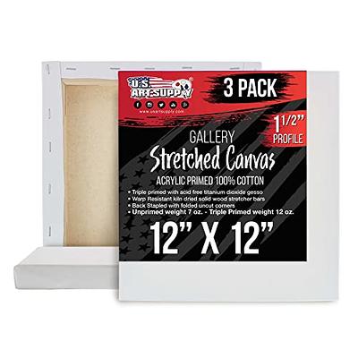 Shuttle Art Stretched Canvas, 12 Pack 11 x 14 inch Canvases for Painting, 100% Cotton, Primed White, Premium Painting Canvas for Beginners and Artists
